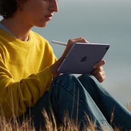iPad mini (2021) 6th gen 256 GB - Wi-Fi - Space Gray