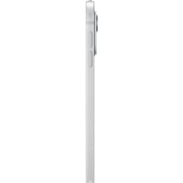 iPad Pro 11" (2024) 5th gen 2000 GB - Wi-Fi + 5G - Silver with Nano-texture display
