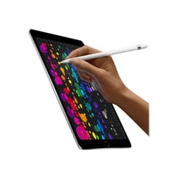 iPad Pro 10.5 (2017) 1st gen 512 GB - Wi-Fi - Space Gray