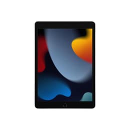 iPad 10.2" (2021) 9th gen 256 GB - Wi-Fi + 4G - Silver