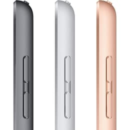 iPad 10.2 (2020) 8th gen 128 GB - Wi-Fi - Silver
