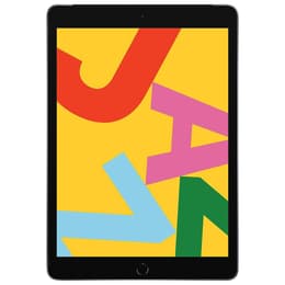 iPad 10.2 (2019) 7th gen 32 GB - Wi-Fi + 4G - Space Gray