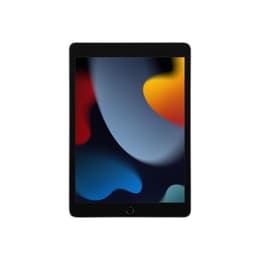 iPad 10.2 (2021) 9th gen 256 GB - Wi-Fi + 4G - Space Gray