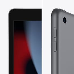 iPad 10.2 (2021) 9th gen 256 GB - Wi-Fi + 4G - Space Gray