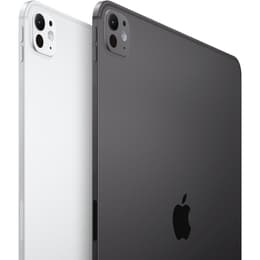 iPad Pro 13" (2024) 7th gen 1000 GB - Wi-Fi + 5G - Space Black