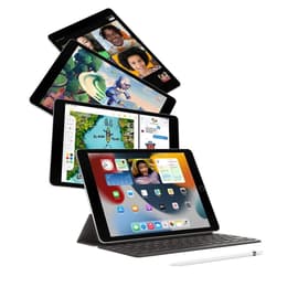 iPad 10.2 (2021) 9th gen 256 GB - Wi-Fi - Space Gray
