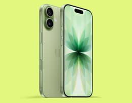 iPhone 17 in Sage