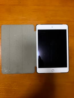 iPad mini 7.9